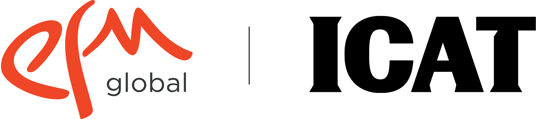 EFM Logo